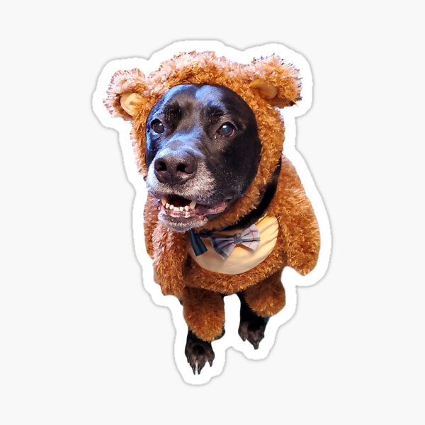 teddy ruxpin dog costume