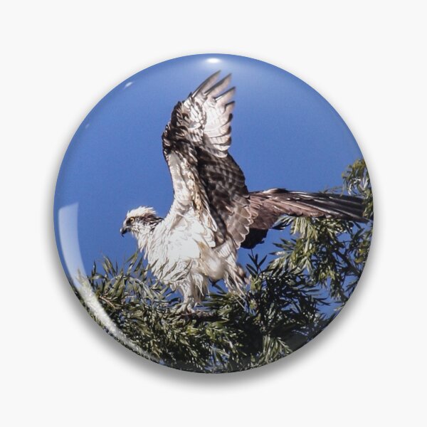 Item preview, Take Off! designed and sold by heatherfriedman.