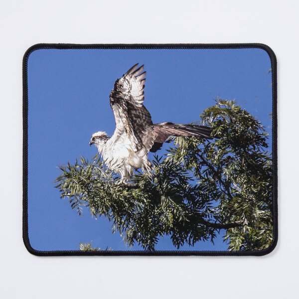 Item preview, Take Off! designed and sold by heatherfriedman.
