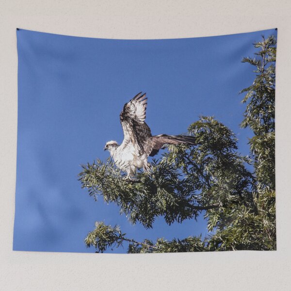 Item preview, Take Off! designed and sold by heatherfriedman.