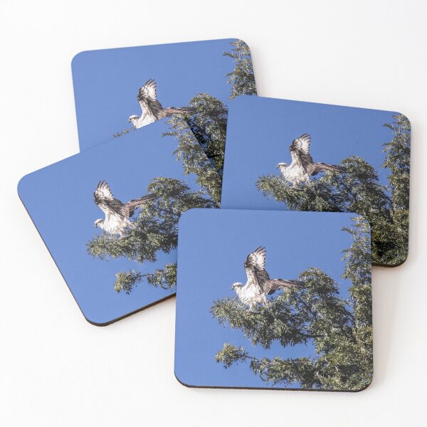 Item preview, Take Off! designed and sold by heatherfriedman.
