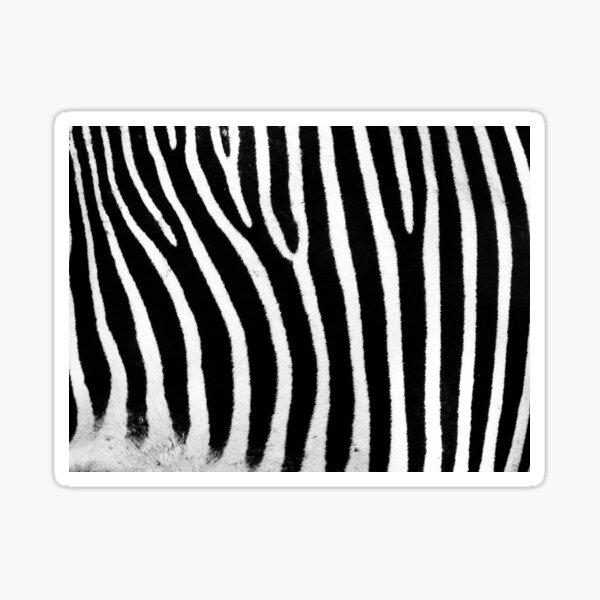 "Zebra Print" Sticker for Sale by PUFFDESIGNS Redbubble