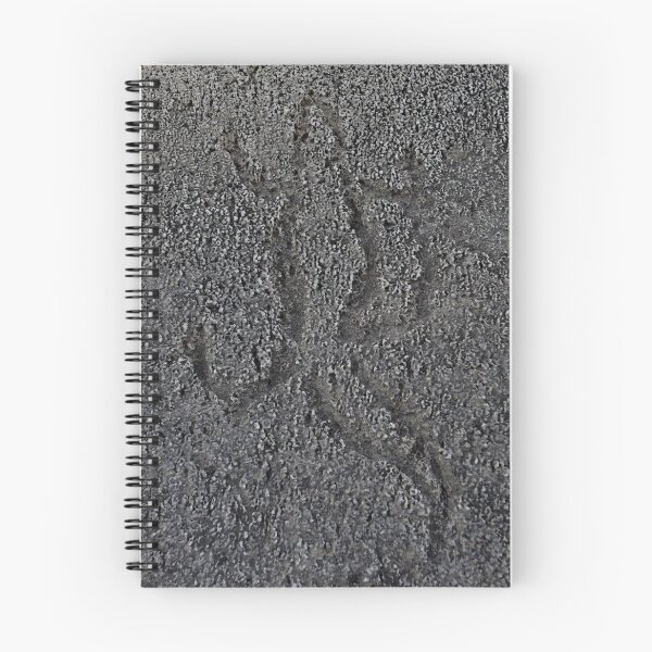 Item preview, Lizard petroglyph designed and sold by Scott Collins.