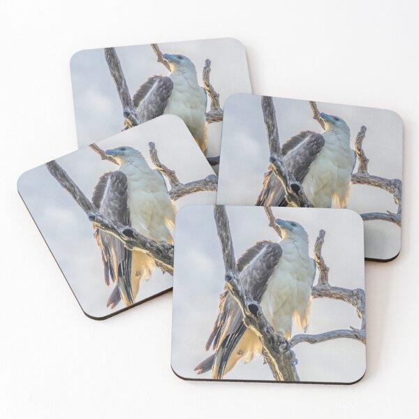 Item preview, White-bellied Sea Eagle designed and sold by Peter Hocking.