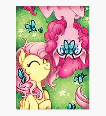 flutterpie Photographic Print