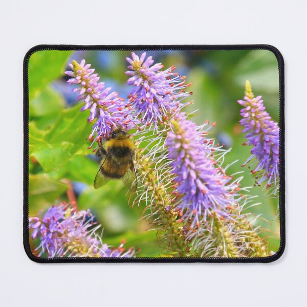 Item preview, Hebe bee amongst the flowers designed and sold by FranWest.