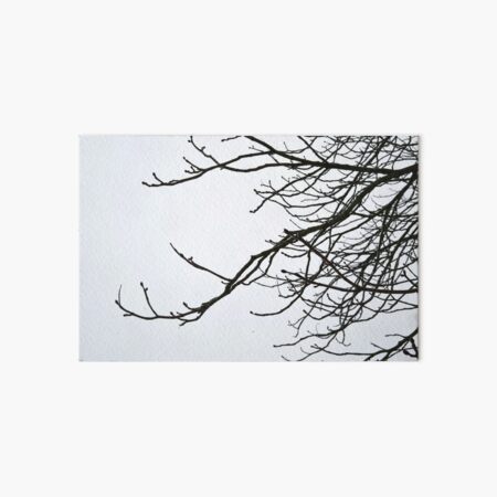 Winter sky & branches Art Board Print