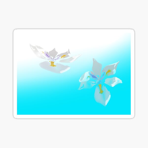 White Iris Floating Blue Sticker