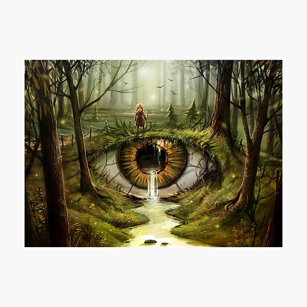 In the Eye of the Beholder Photographic Print