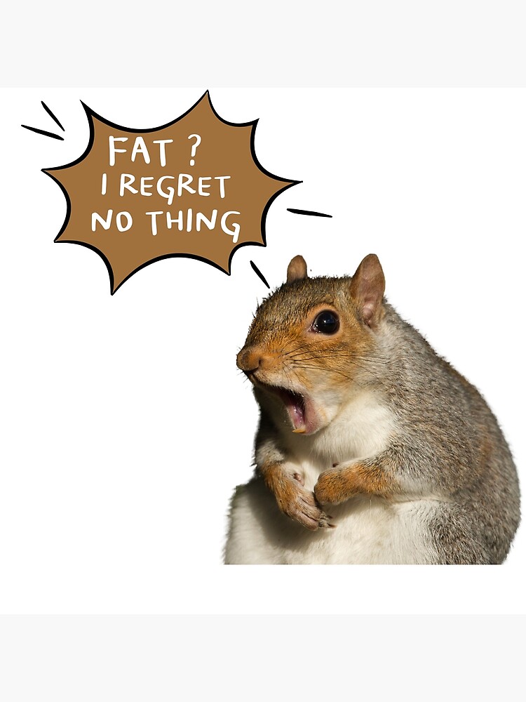"Fat Squirrel Meme" Poster for Sale by Redbubble