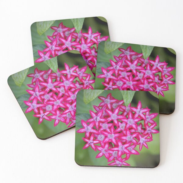 Item preview, A burst of Pink designed and sold by AnneMcNaughton.