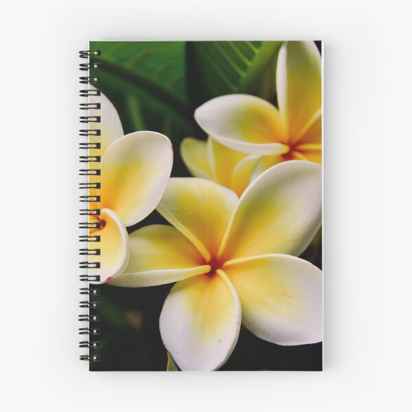 Item preview, Frangipani designed and sold by AnneMcNaughton.