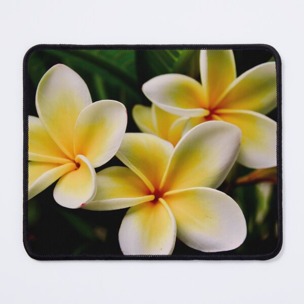 Item preview, Frangipani designed and sold by AnneMcNaughton.