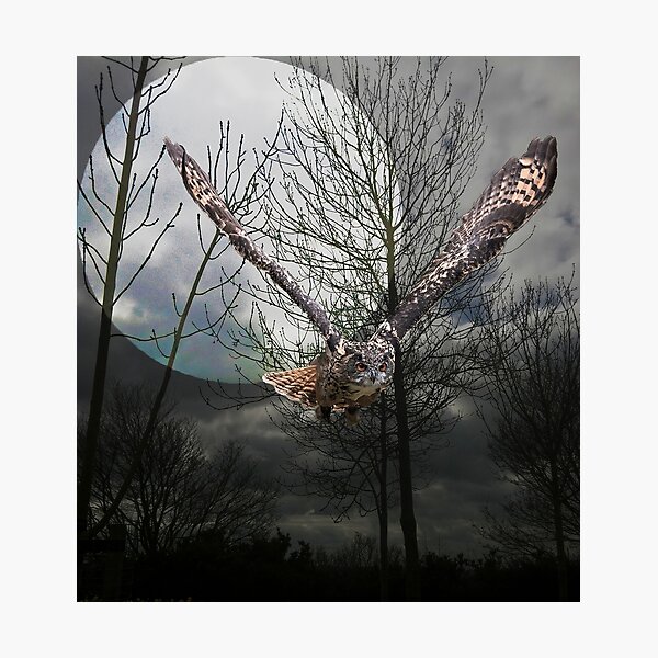 Item preview, Owl in moonlight designed and sold by Mark Povey Designs.