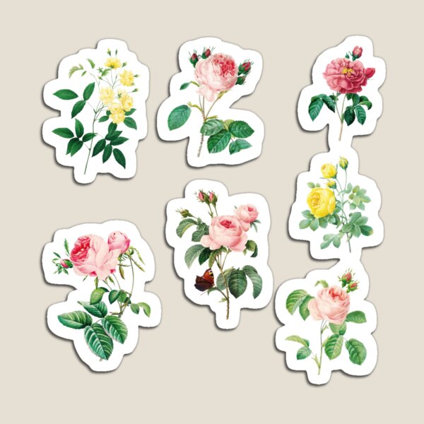 Item preview, Ilustración de acuarela vintage - rosas (pedido de etiqueta grande) designed and sold by Rockpools.