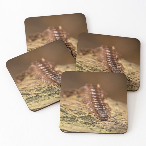 Item preview, The centipede designed and sold by BBPGallery.