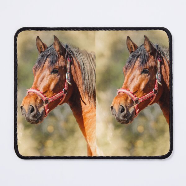 Item preview, Magnificent Profile of a Horse designed and sold by Dalyndigital Photography.