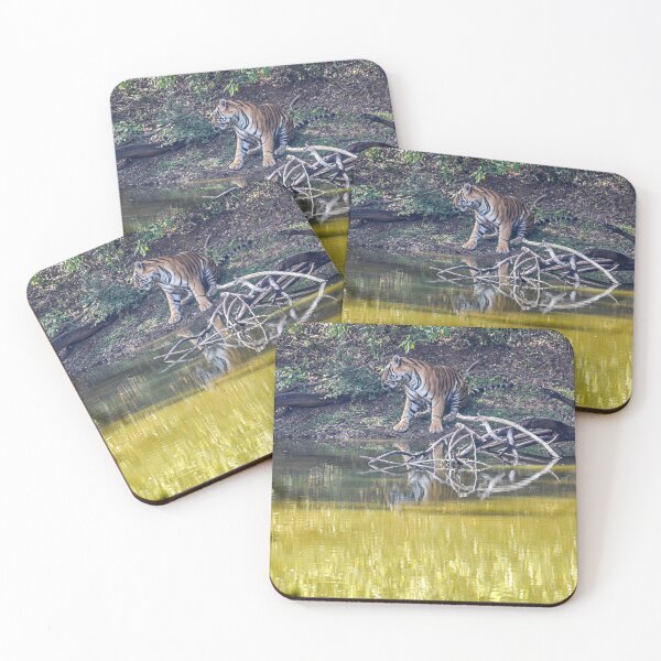 Item preview, Tiger in Ranthambore designed and sold by Pravine Chester.