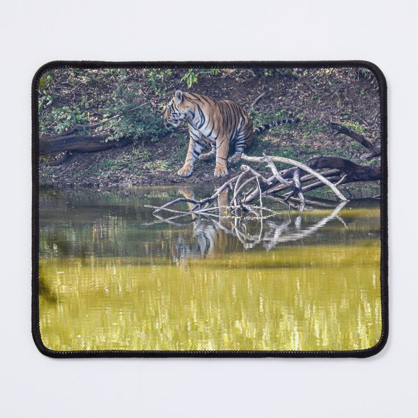 Item preview, Tiger in Ranthambore designed and sold by Pravine Chester.