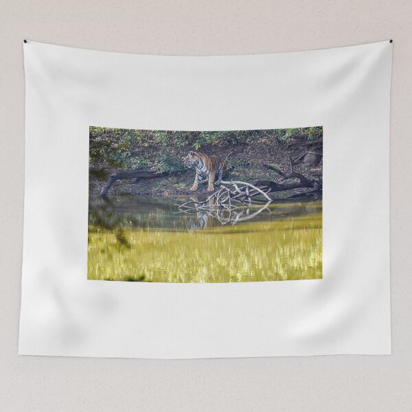 Item preview, Tiger in Ranthambore designed and sold by Pravine Chester.