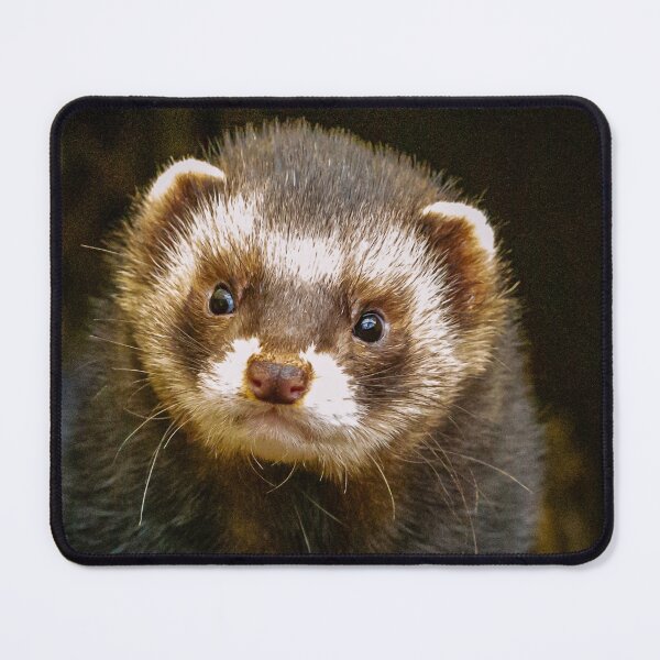 Item preview, Polecat face designed and sold by Dalyndigital Photography.