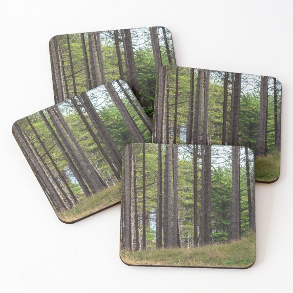 Item preview, Ynys Llanddwyn: into the woods designed and sold by cdkphotos.