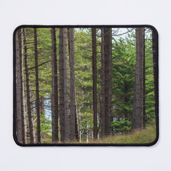 Item preview, Ynys Llanddwyn: into the woods designed and sold by cdkphotos.
