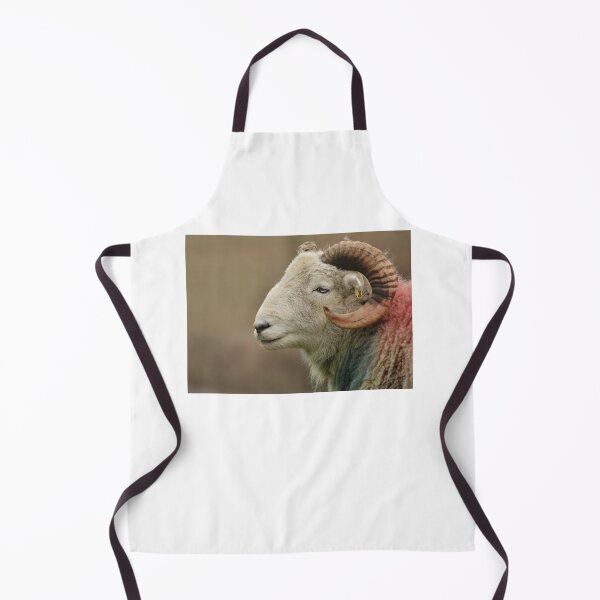 Item preview, Max the herdwick sheep photo designed and sold by ETstickerz.