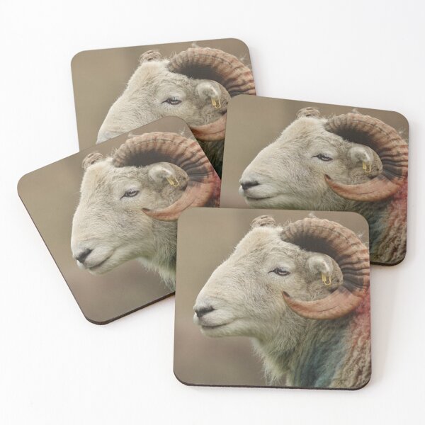 Item preview, Max the herdwick sheep photo designed and sold by ETstickerz.