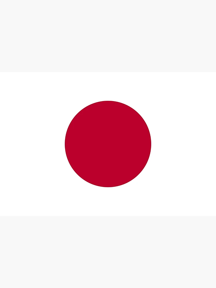 国旗 日章旗 日の丸 時代物 襤褸 日本 ミリタリー 軍物 JAPAN Boro 国旗 日章旗 日の丸 時代物 襤褸 日本 ミリタリー 軍物 JAPAN