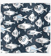 CAUGHT - A School of Fish Poster