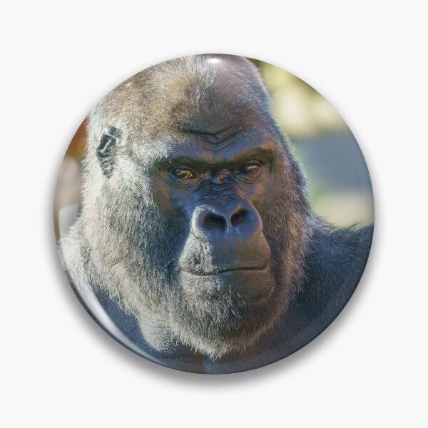 Item preview, Striking Silverback  designed and sold by rawshutterbug.