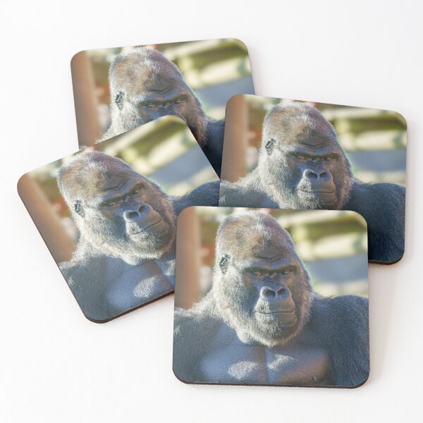 Item preview, Striking Silverback  designed and sold by rawshutterbug.