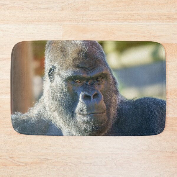 Item preview, Striking Silverback  designed and sold by rawshutterbug.