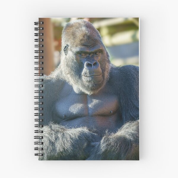 Item preview, Striking Silverback  designed and sold by rawshutterbug.