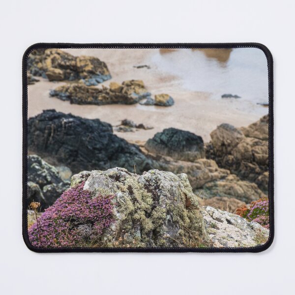 Item preview, Beautiful heather at Ynys Llanddwyn designed and sold by cdkphotos.