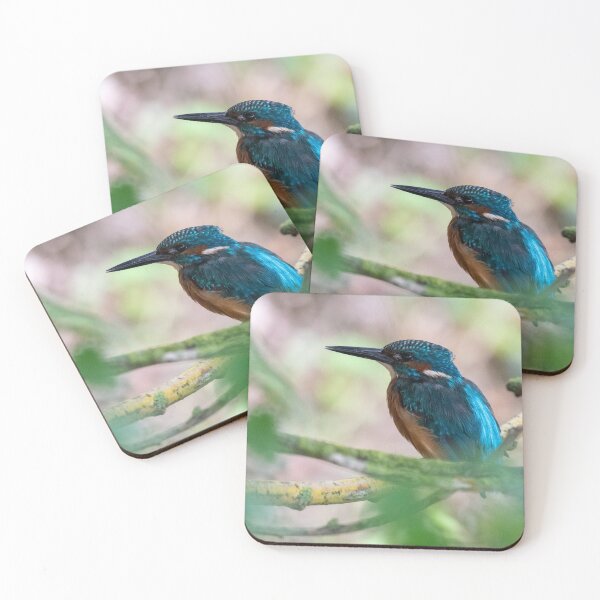 Item preview, Kingfisher amongst the branches designed and sold by cdkphotos.