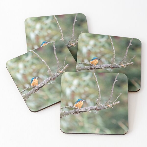 Item preview, Kingfisher in tree designed and sold by cdkphotos.