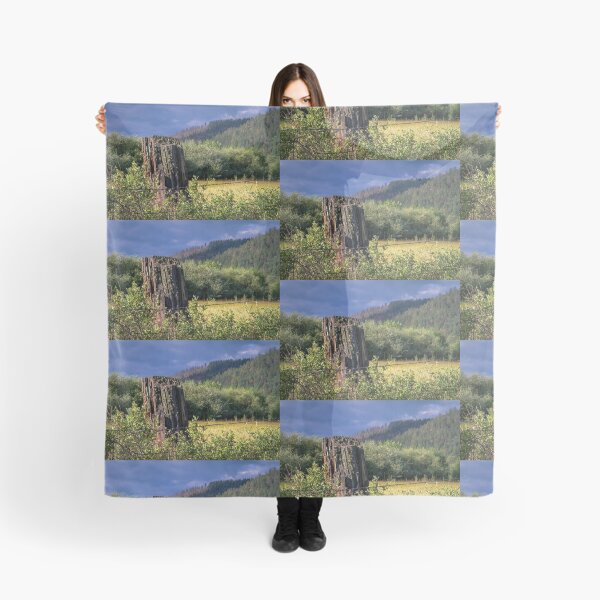 Item preview, Stumped designed and sold by Randy Turnbow.
