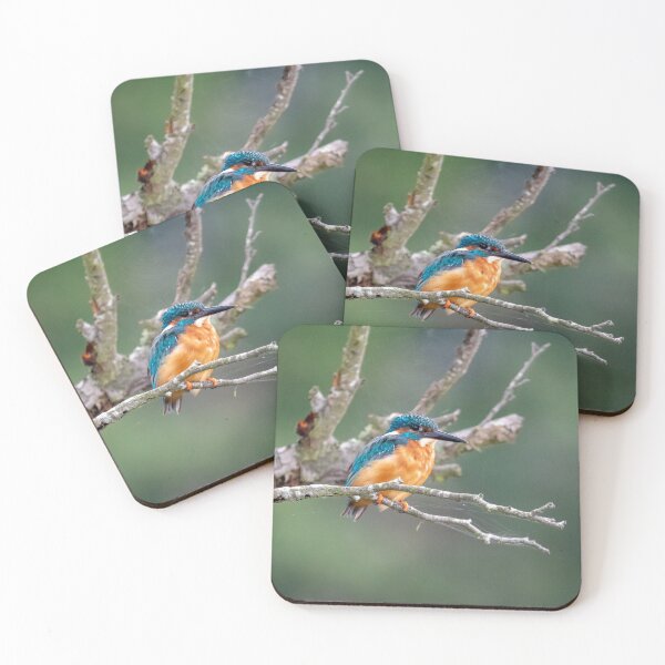Item preview, Kingfisher on a branch designed and sold by cdkphotos.