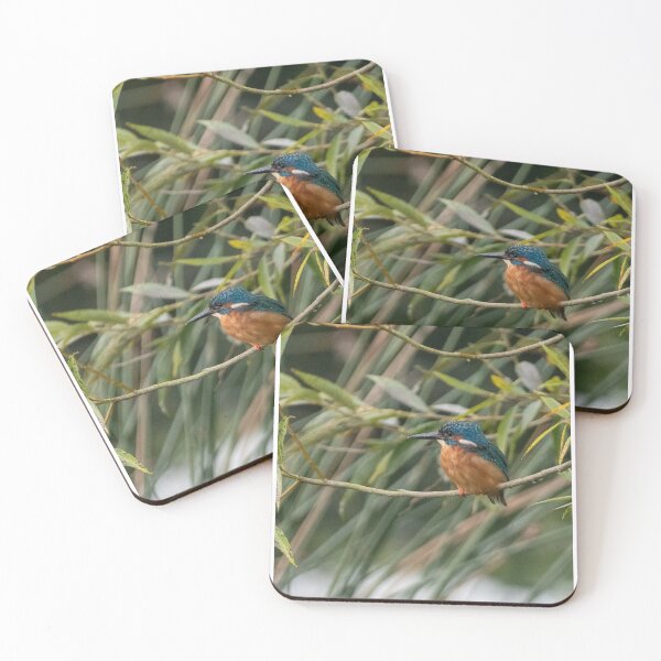 Item preview, Kingfisher sitting on a branch designed and sold by cdkphotos.