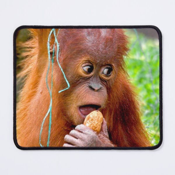 Item preview, Aint I cute! designed and sold by Dalyndigital Photography.