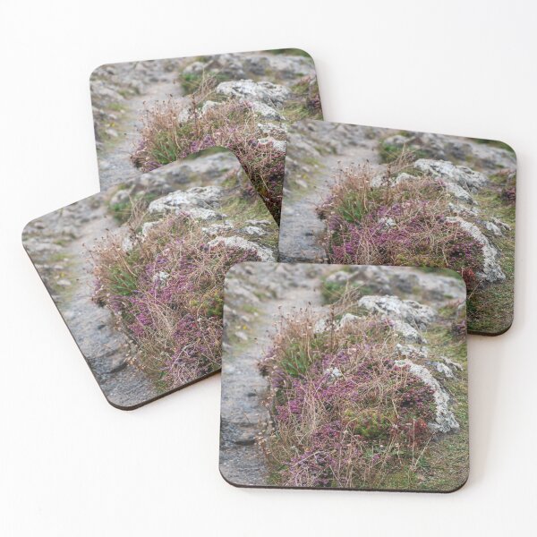 Item preview, Heather on cliffs at Ynys Llanddwyn  designed and sold by cdkphotos.