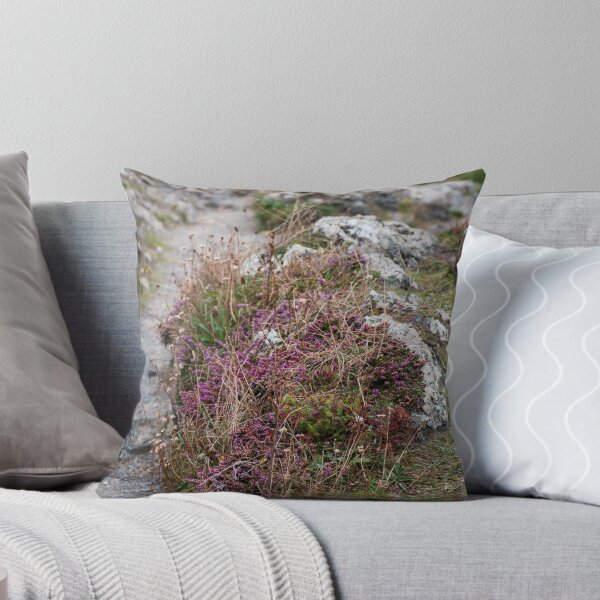 Item preview, Heather on cliffs at Ynys Llanddwyn  designed and sold by cdkphotos.
