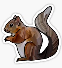 Red Squirrel Design / Illustration Sticker