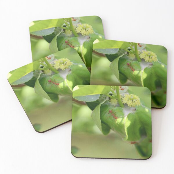 Item preview, Red ants nest in the leaves. designed and sold by VgBingi.
