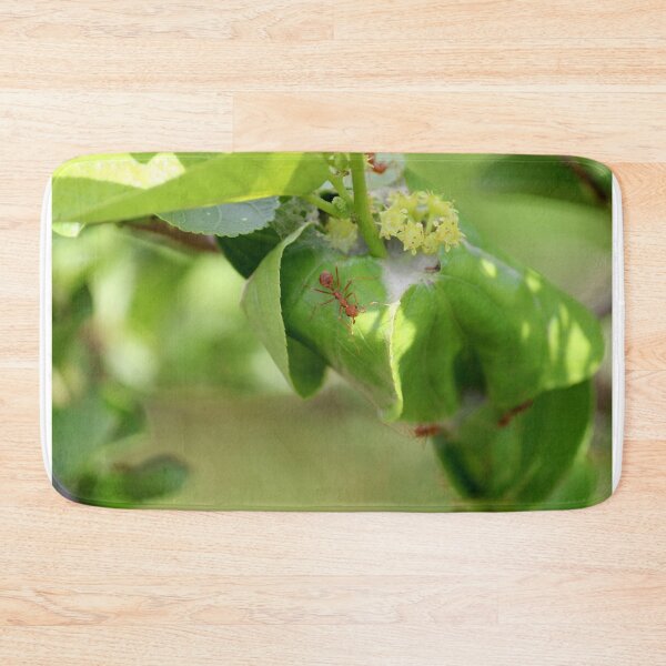 Item preview, Red ants nest in the leaves. designed and sold by VgBingi.