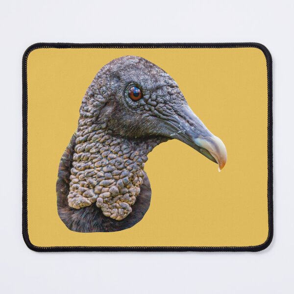Item preview, Head of a Black Vulture designed and sold by Dalyndigital Photography.