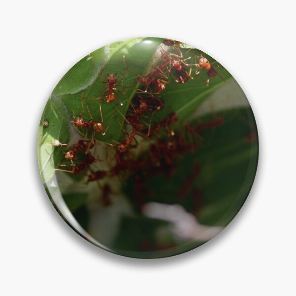 Item preview, Red ants nest in the leaves. designed and sold by VgBingi.