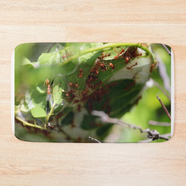 Item preview, Red ants nest in the leaves. designed and sold by VgBingi.